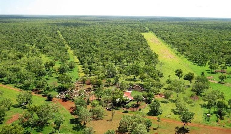 Weekly property review: Lots of NT listings, but sales slow