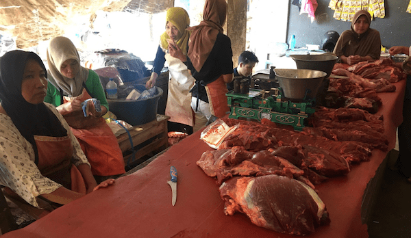 SE Asia report: Indo feedlots finally clear backlog
