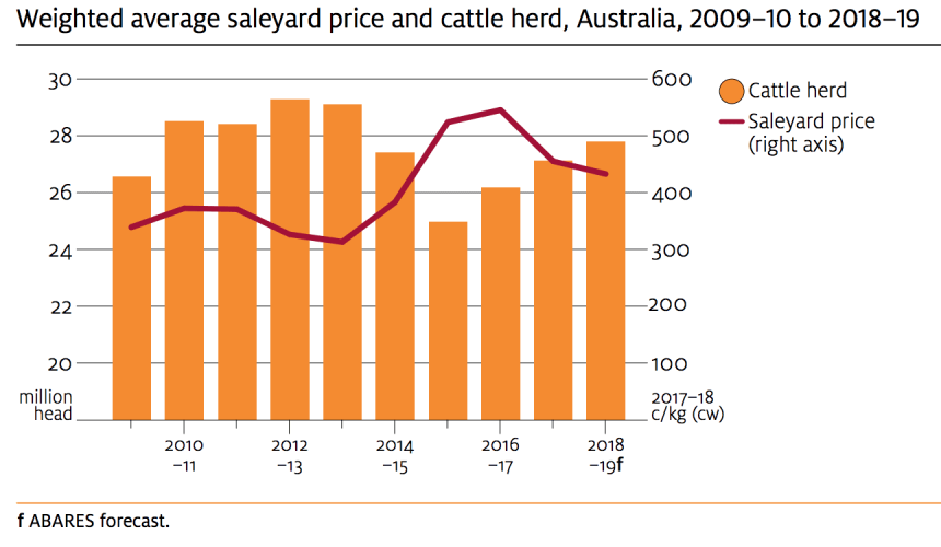 Cattle prices set to fall 8pc in 2018-19: ABARES