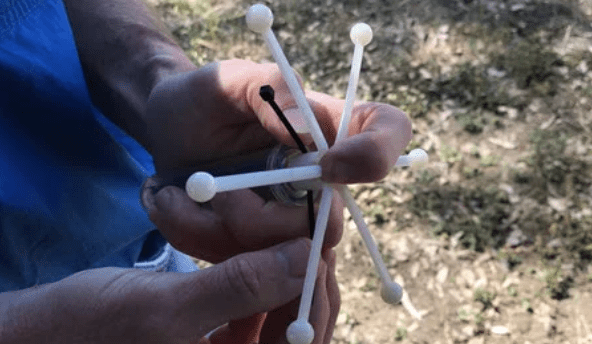 Calf Alert accuracy improves