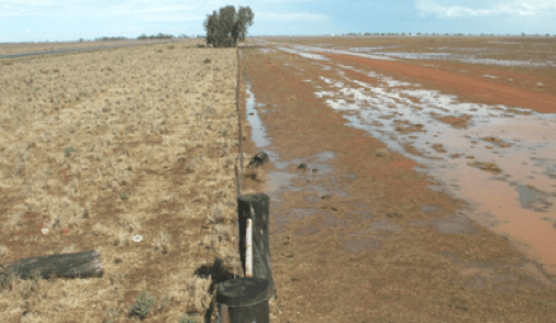 Opinion: ‘Sustainable Beef’ can’t be defined without discussing carbon flows