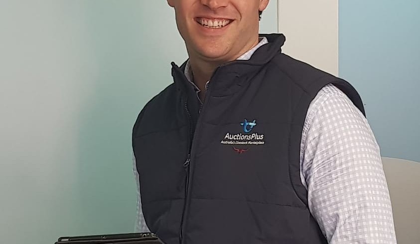 AuctionsPlus appoints new CEO