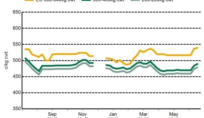 EU-eligible steer price premiums heating up