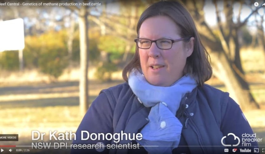Research explores genetic influence on methane production + VIDEO