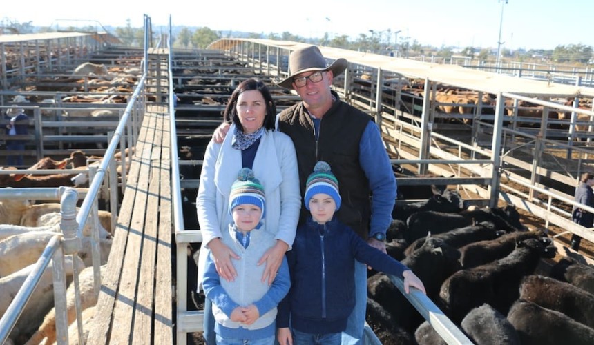 Roma store 10 July 2018: Weaners push yarding to 10,200