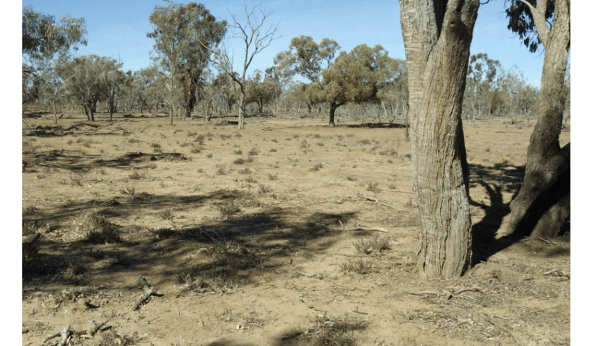 Pay landholders for environmental stewardship, ecologist advocates