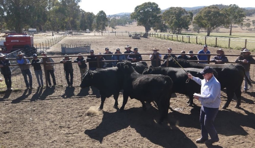 Weekly genetics review: Commercial breeders need to demand genetics that work in their enterprise