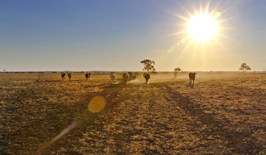 Farm organisations welcome big jump in federal government drought support