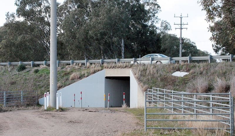 $3m for NSW farmers to build road underpasses for cattle