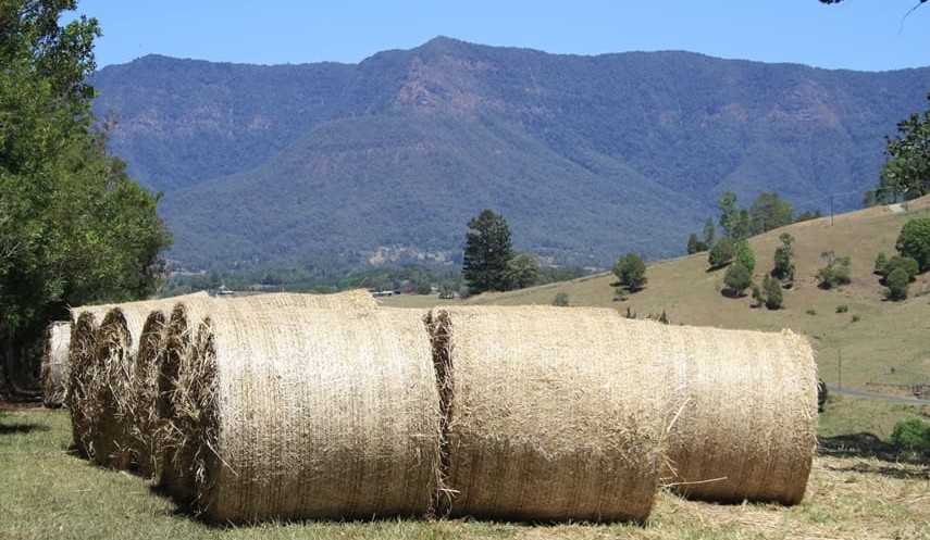 Strong outlook for hay and silage production after tough winter