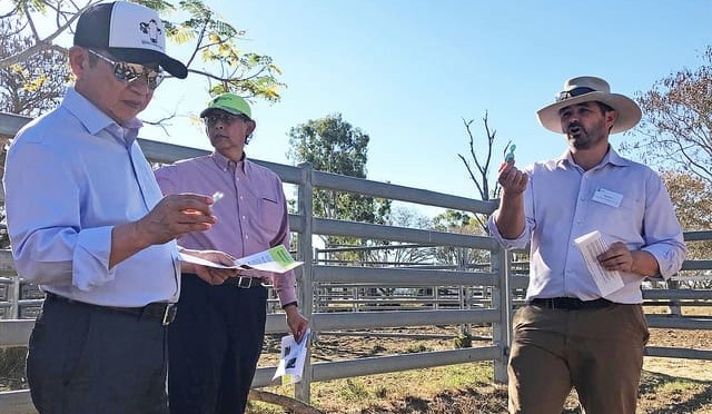 Indonesian delegation examines innovative beef research in CQ