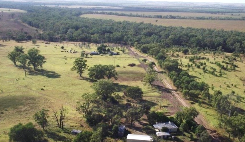Weekly Property Review: Drought fosters grass-driven demand