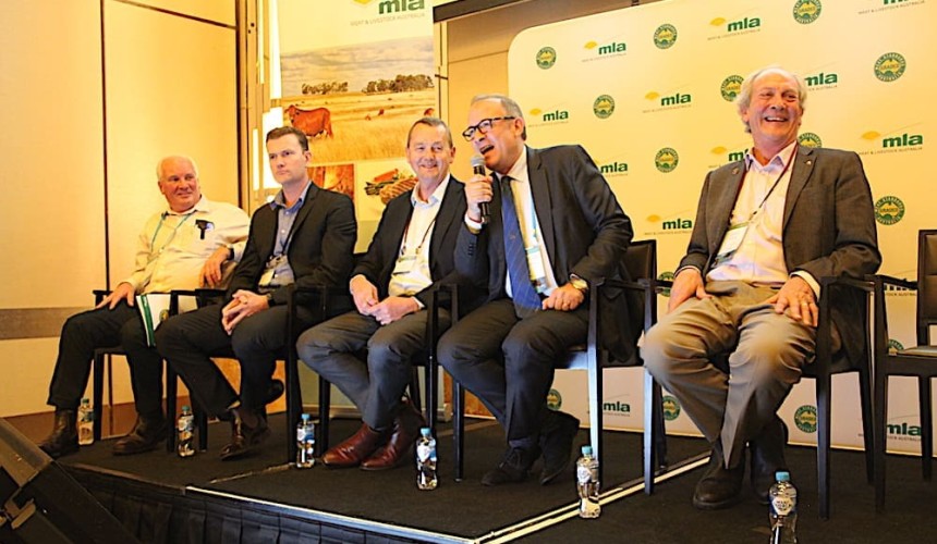 MSA on track for adoption by European beef producing countries