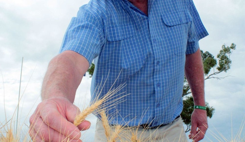 Webinar will explore quality aspects of drought feeding options