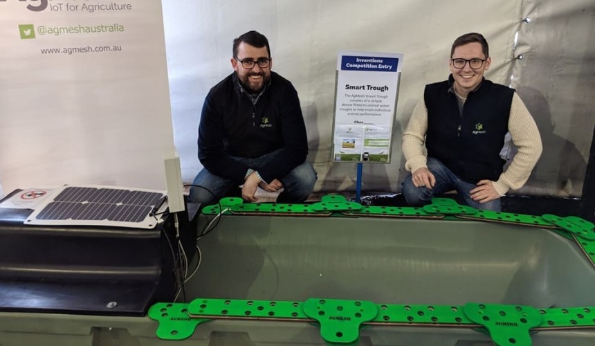 Trough-mounted EID device reader wins Sheepvention award