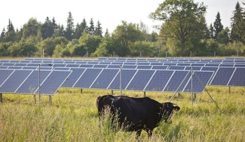 Five considerations before signing renewable energy contracts