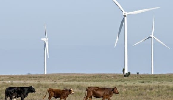 Roma to host renewable energy forum