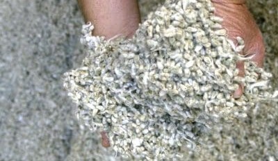 Cottonseed demand falters as prices continue to climb