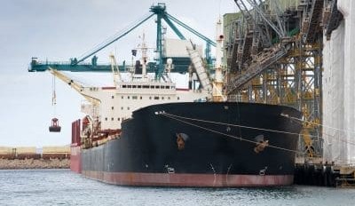 Feedgrain Focus: Grain expensive but ‘gettable’