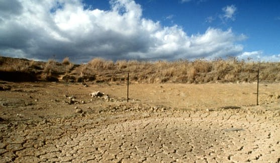 Flash droughts: A ‘new’ climate crisis