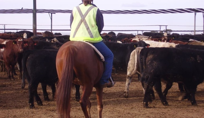 Recruitment:  Where is the gender balance up to in Australian ag?