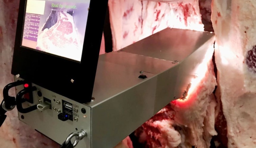 Wagyu sector make rapid progress towards objective carcase assessment