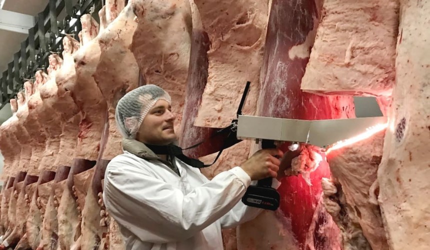Camera grading sharpens Wagyu genetic selection