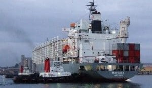 Cattle and sheep shipment for Jordan and Israel is readied in Fremantle