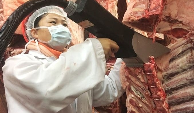 Objective carcase grading: What’s coming down the technology super-highway?