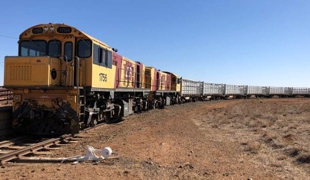 Morven rail freight hub will smooth livestock supply