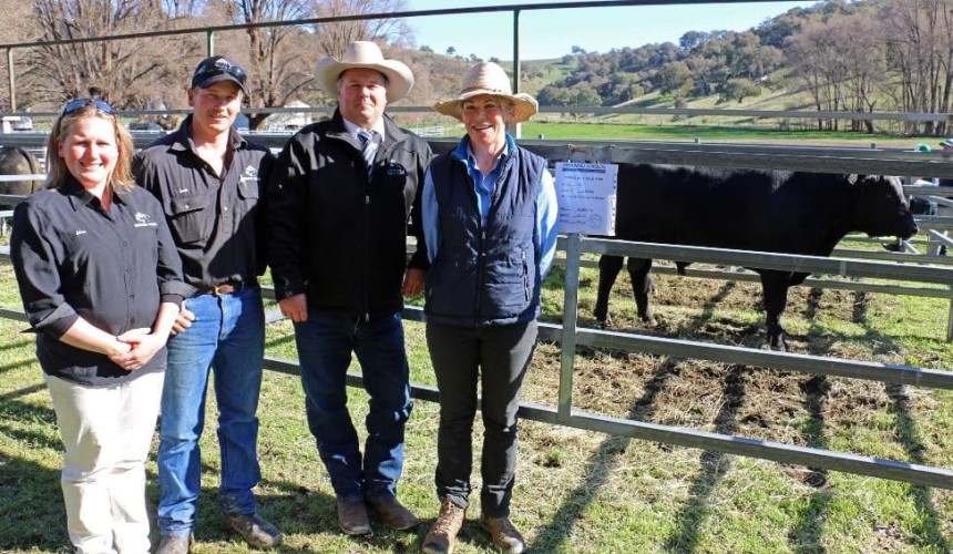 Weekly genetics review: Spring bull sales generally solid, despite the conditions