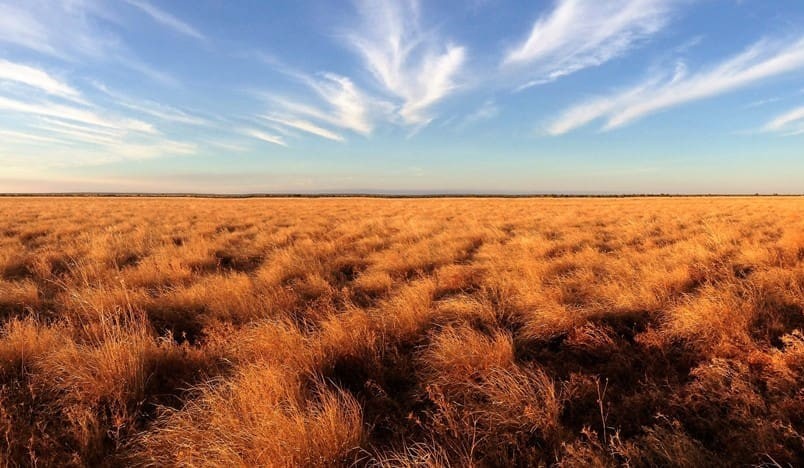 Weekly Property Review: Lending implications during drought