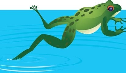 Three key paddock decision dates to avoid becoming a ‘slow-boiled frog’