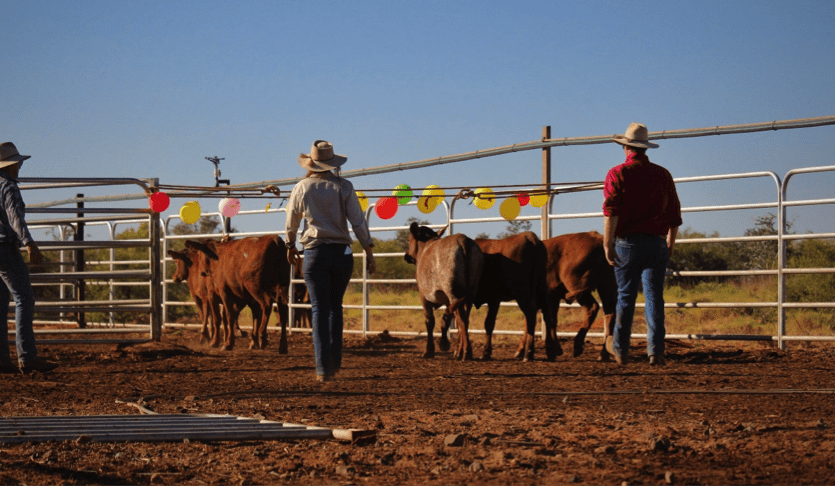 Red meat white paper: industry reaction and debate begins