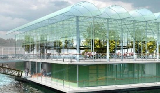 Holland’s ‘floating farm’ showcases urban agriculture