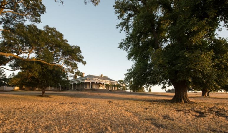 HAAFCO puts Mt Fyans and Rancho East up for sale