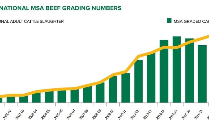 MSA program continues to deliver higher farm gate returns