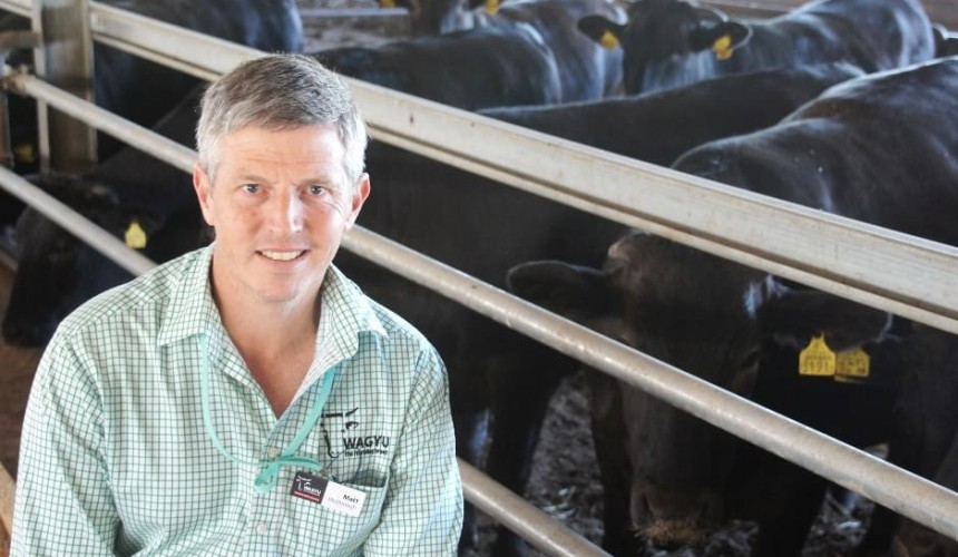 Wagyu $ indexes a step forward for genetic gain