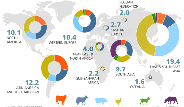 Yes, eating meat affects the environment, but cows are not killing the climate