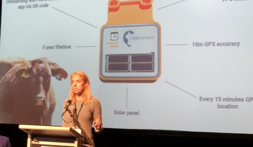 African ‘bred’ cattle tracking tag showcased at 400M conference