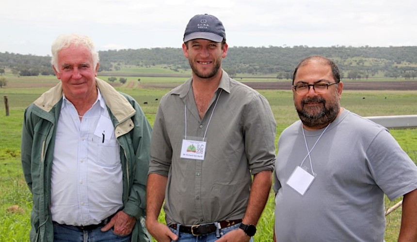 Lions and livestock: how cattle are revolutionising wildlife conservation in Kenya