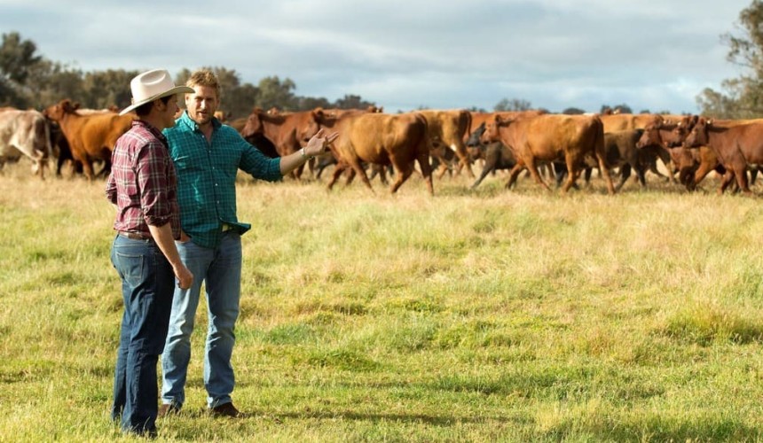 Celebrity chef Curtis Stone back to champion Aussie beef