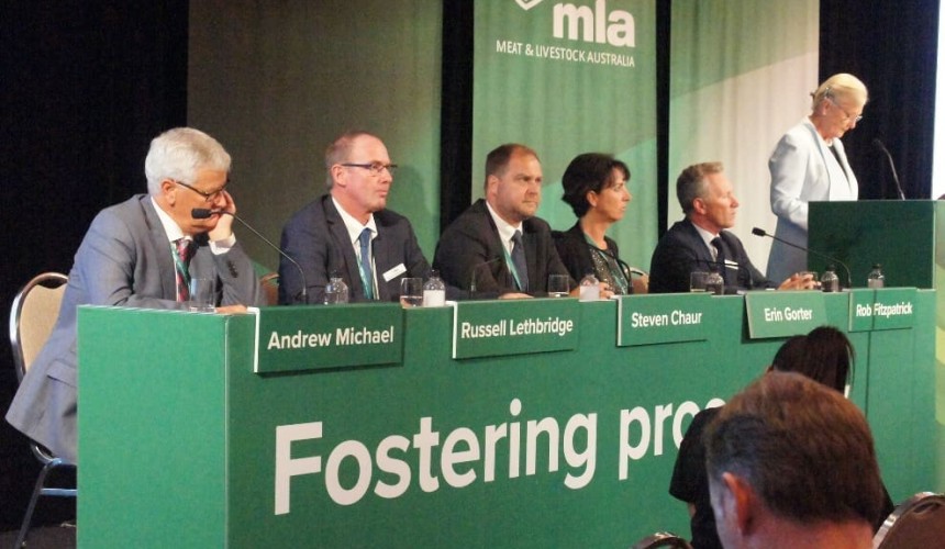Industry advocacy for live exports a double-edged sword, MLA members told