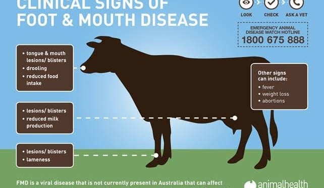 Do you know the signs of Foot and Mouth Disease?