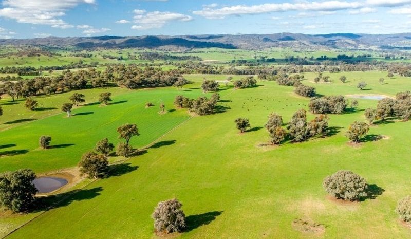 FIRB extends overseas buyer scrutiny, in the wake of COVID-19