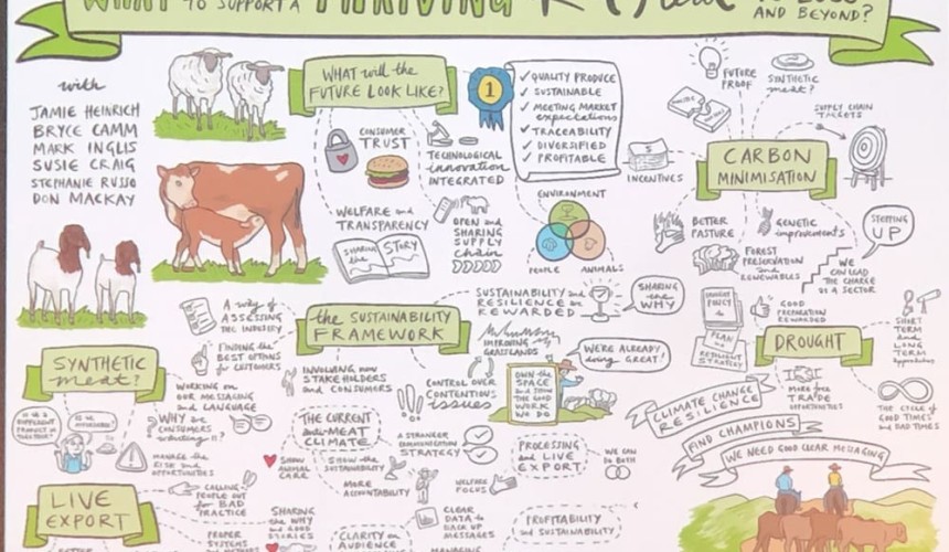 Why red meat needs an overarching communications strategy