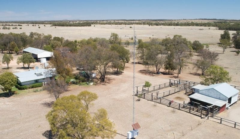 Cattle/CSG income stream drives Wandoan’s Pony Plains to $13.3m