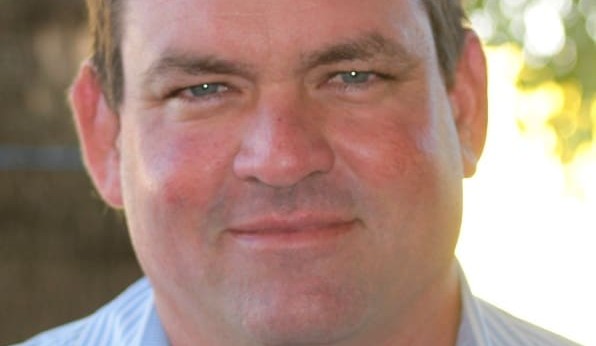 AgForce: Lay pregnancy testing major win for Qld cattle industry