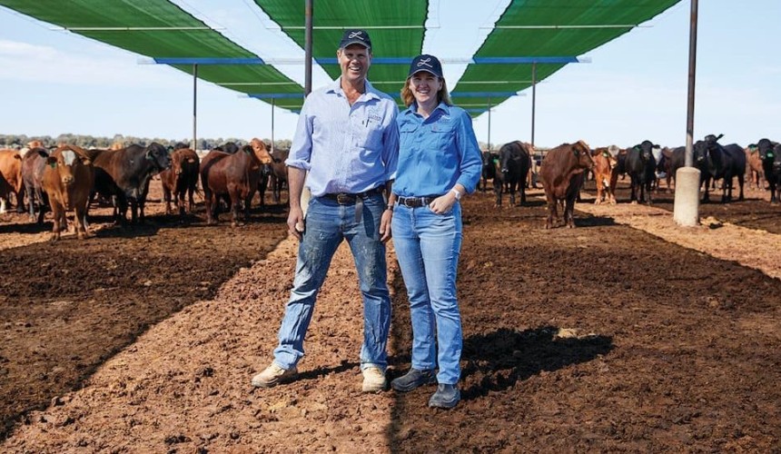 Chinchilla feedlot purchase seals new direction for northern cattle heavyweight, Sterling Buntine