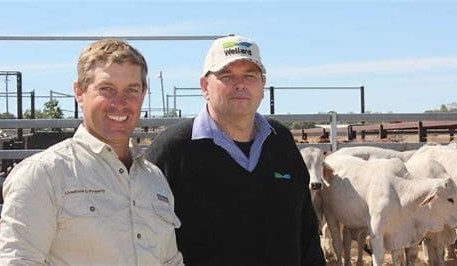 From young start to selling millions of Australian cattle